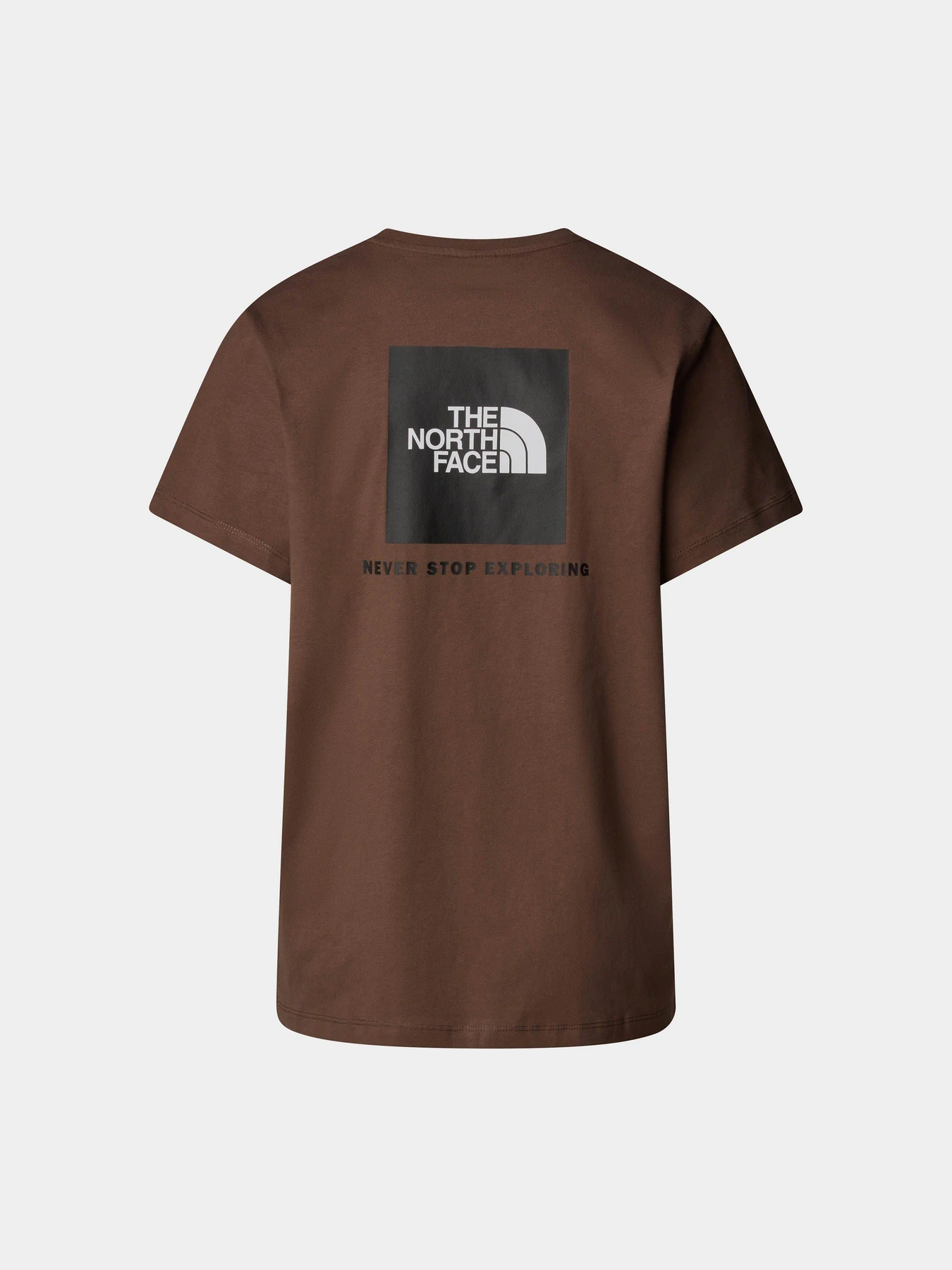 Футболки и поло The North Face Raglan Redbox модель NF0A87NK1OI1 Фото