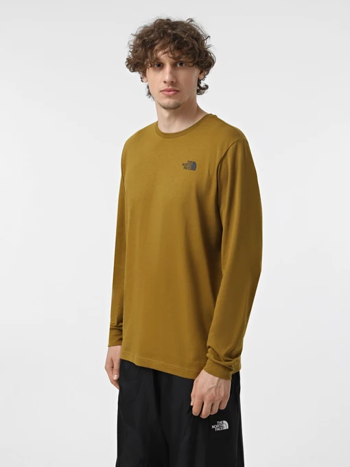 Худі та світшоти The North Face Redbox модель NF0A87NN1OB1 Фото