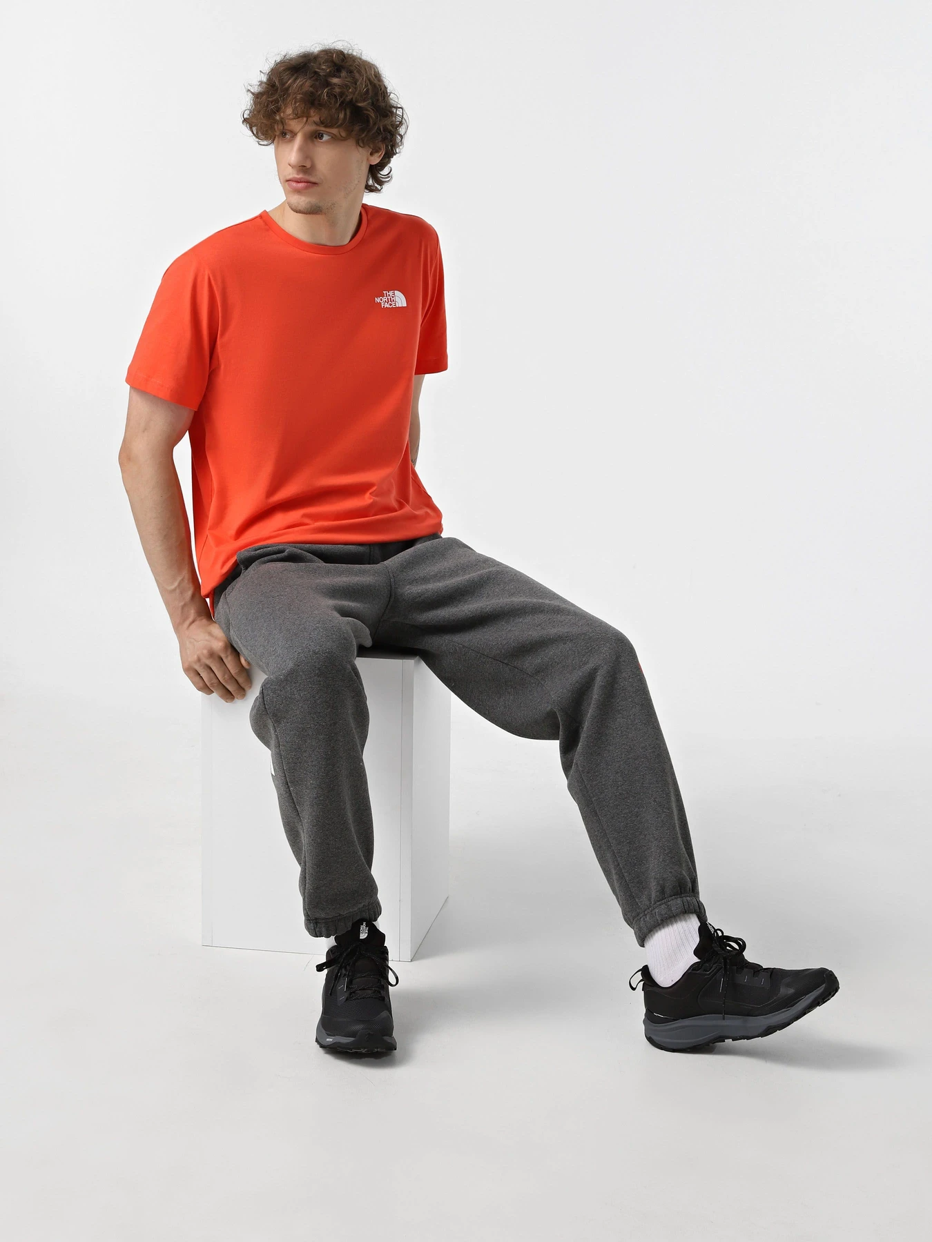 Футболки і поло The North Face Redbox модель NF0A87NP5OM1 Футболки і поло The North Face Redbox модель NF0A87NP5OM1 Фото