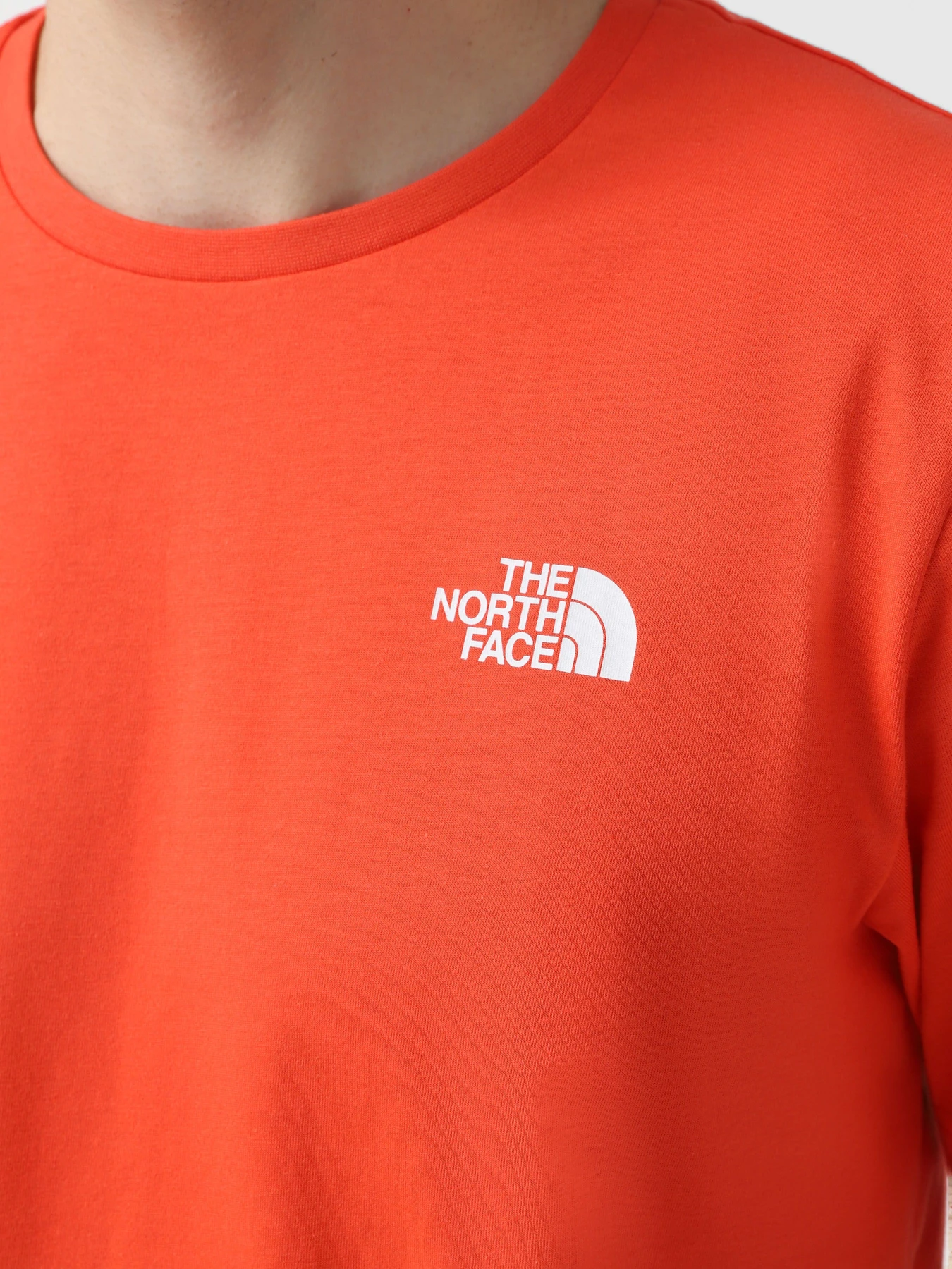 Футболки і поло The North Face Redbox модель NF0A87NP5OM1 Футболки і поло The North Face Redbox модель NF0A87NP5OM1 Фото