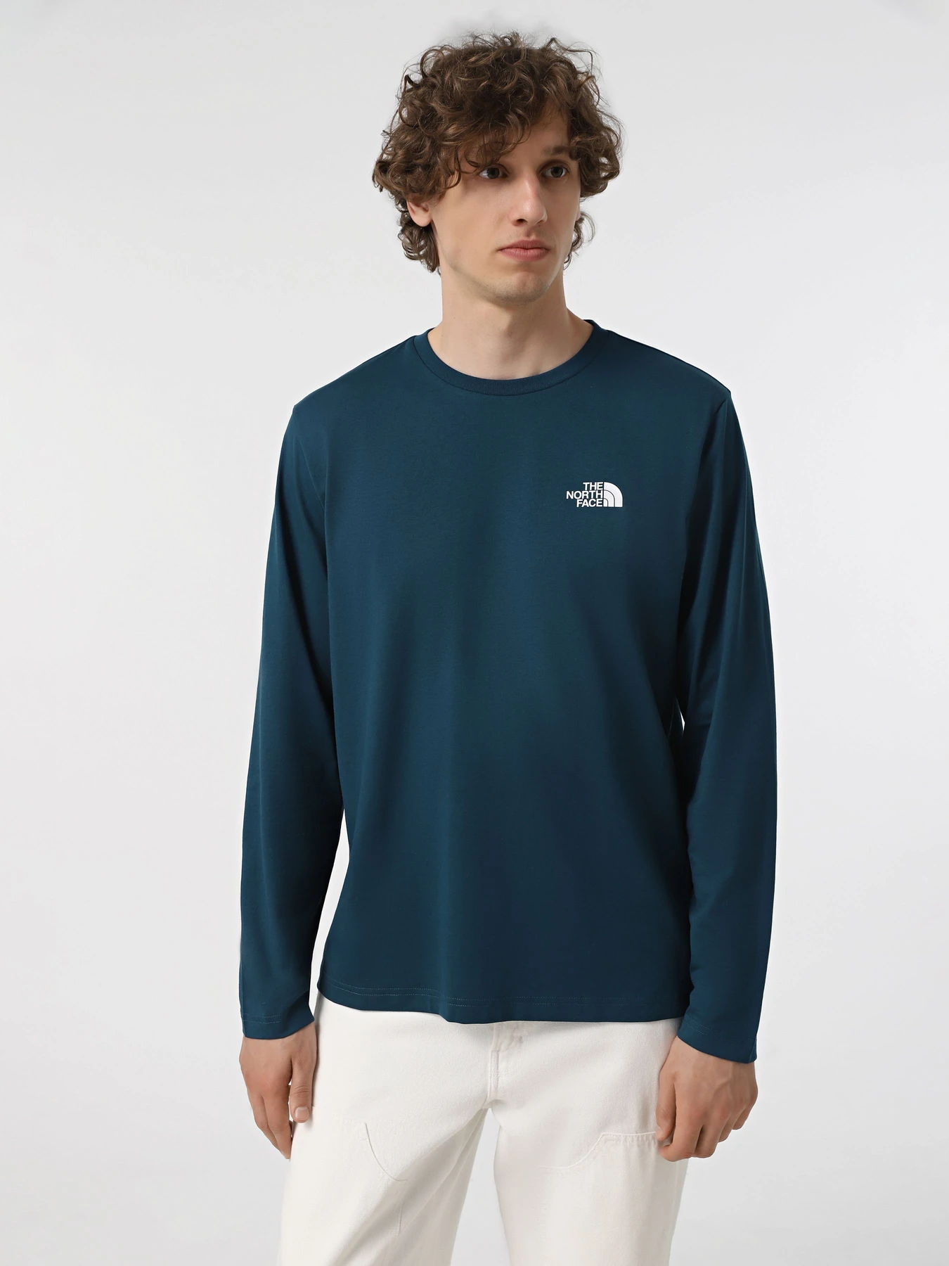 Худи и свитшоты The North Face Simple Dome модель NF0A87QN1NO1 Худи и свитшоты The North Face Simple Dome модель NF0A87QN1NO1 Фото