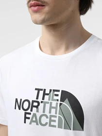 Футболки і поло The North Face Biner Graphic 1 модель NF0A894XFN41 Фото