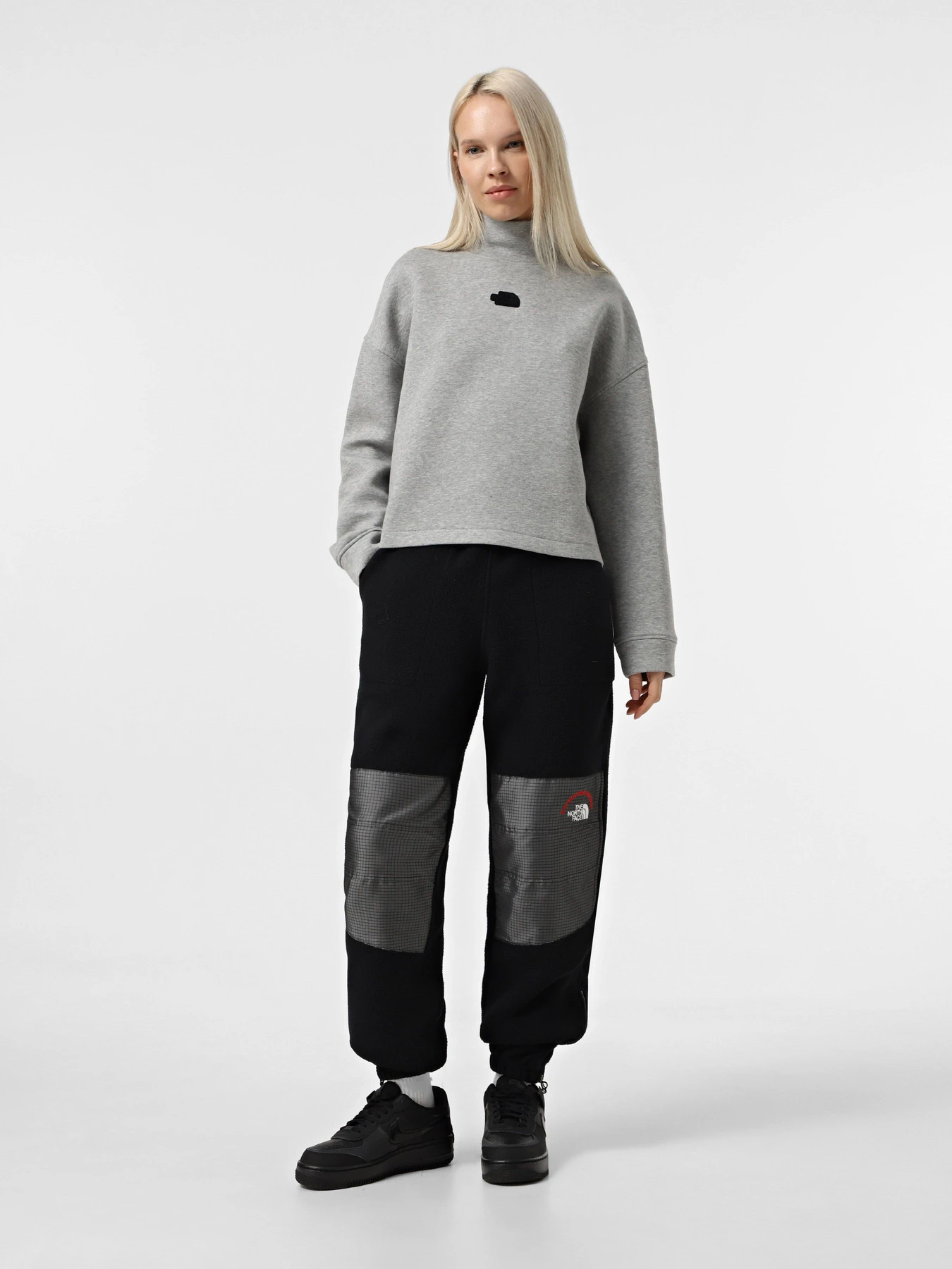 Худи и свитшоты The North Face Mock Neck Relaxed модель NF0A89C1EC41 Худи и свитшоты The North Face Mock Neck Relaxed модель NF0A89C1EC41 Фото