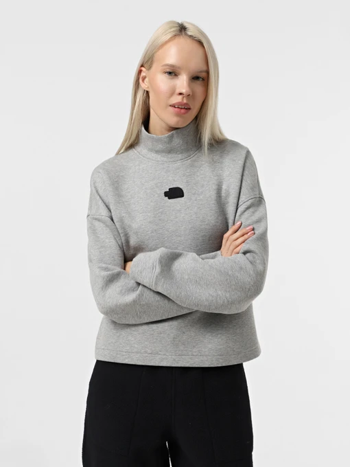 Худи и свитшоты The North Face Mock Neck Relaxed модель NF0A89C1EC41 Фото