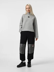 Худи и свитшоты The North Face Mock Neck Relaxed модель NF0A89C1EC41 Фото