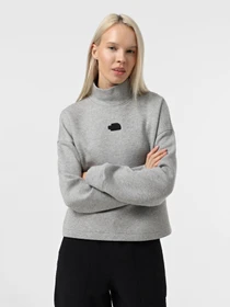 Худи и свитшоты The North Face Mock Neck Relaxed модель NF0A89C1EC41 Фото