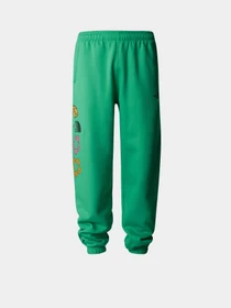 Брюки The North Face x Yinka Ilori модель NF0A89C6PO81 Фото