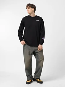 Худи и свитшоты The North Face x Yinka Ilori Graphic модель NF0A89CAJK31 Фото