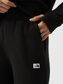 Брюки The North Face Hoden модель NF0A89CHJK31 Фото