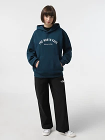 Худи и свитшоты The North Face Graphic модель NF0A89CS1NO1 Фото