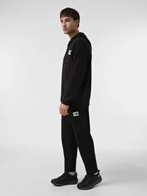 Брюки The North Face Hoden модель NF0A89CZJK31 Фото