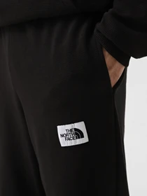 Брюки The North Face Hoden модель NF0A89CZJK31 Фото