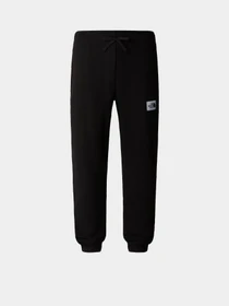 Брюки The North Face Hoden модель NF0A89CZJK31 Фото