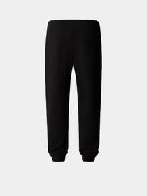 Брюки The North Face Hoden модель NF0A89CZJK31 Фото