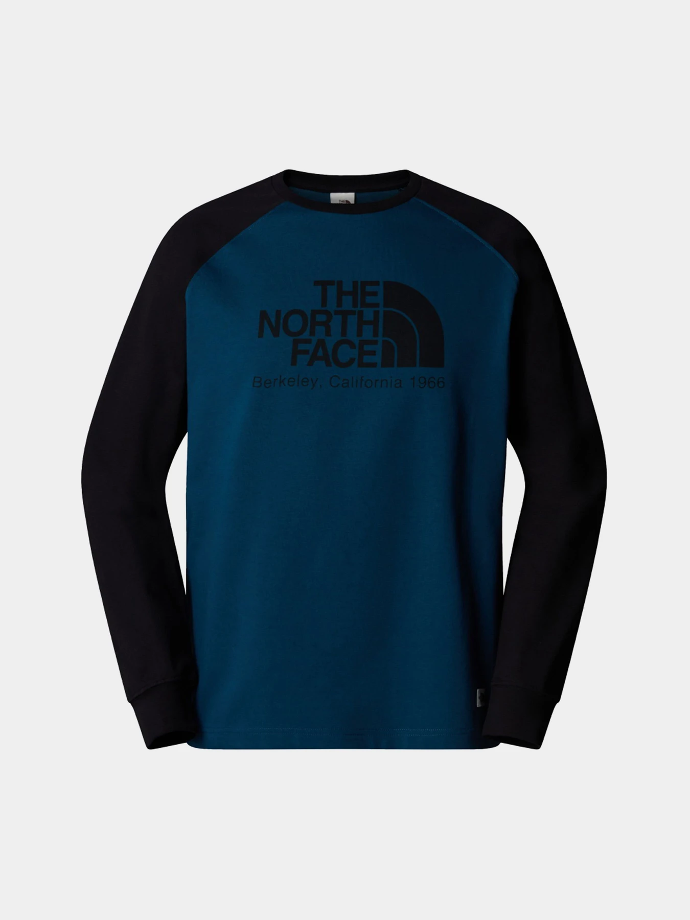 Худі та світшоти The North Face Heritage модель NF0A89D05LO1 Фото