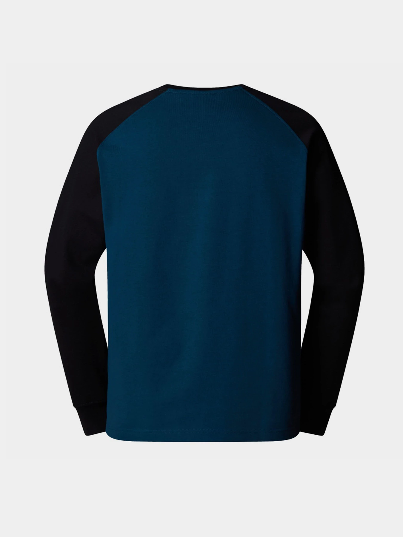 Худі та світшоти The North Face Heritage модель NF0A89D05LO1 Фото
