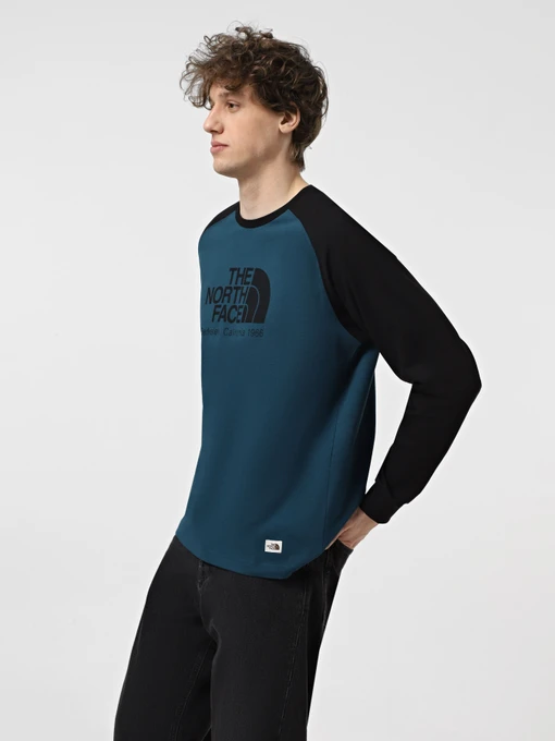 Худі та світшоти The North Face Heritage модель NF0A89D05LO1 Фото