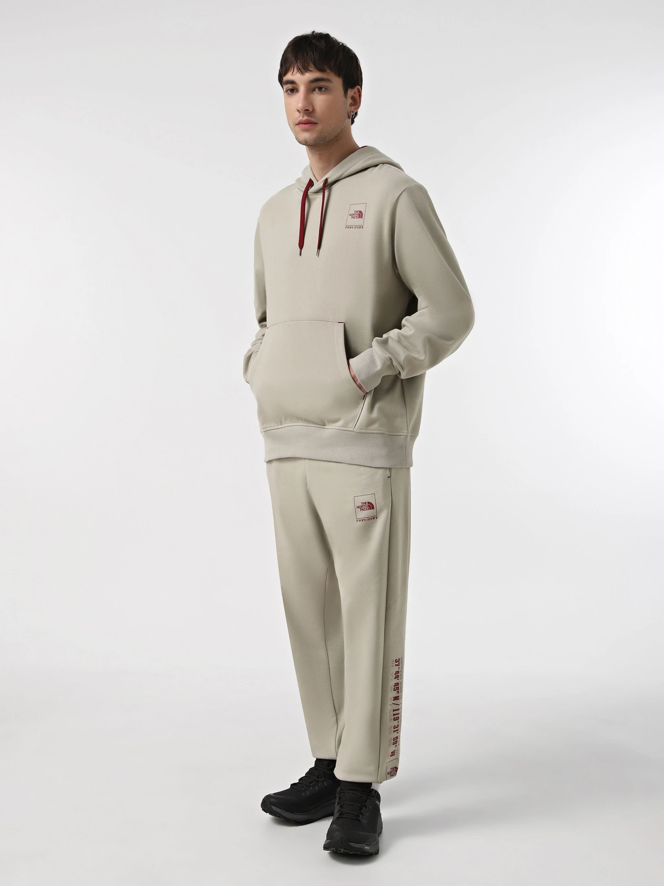 Худі та світшоти The North Face Coordinates модель NF0A89D91I41 Худі та світшоти The North Face Coordinates модель NF0A89D91I41 Фото