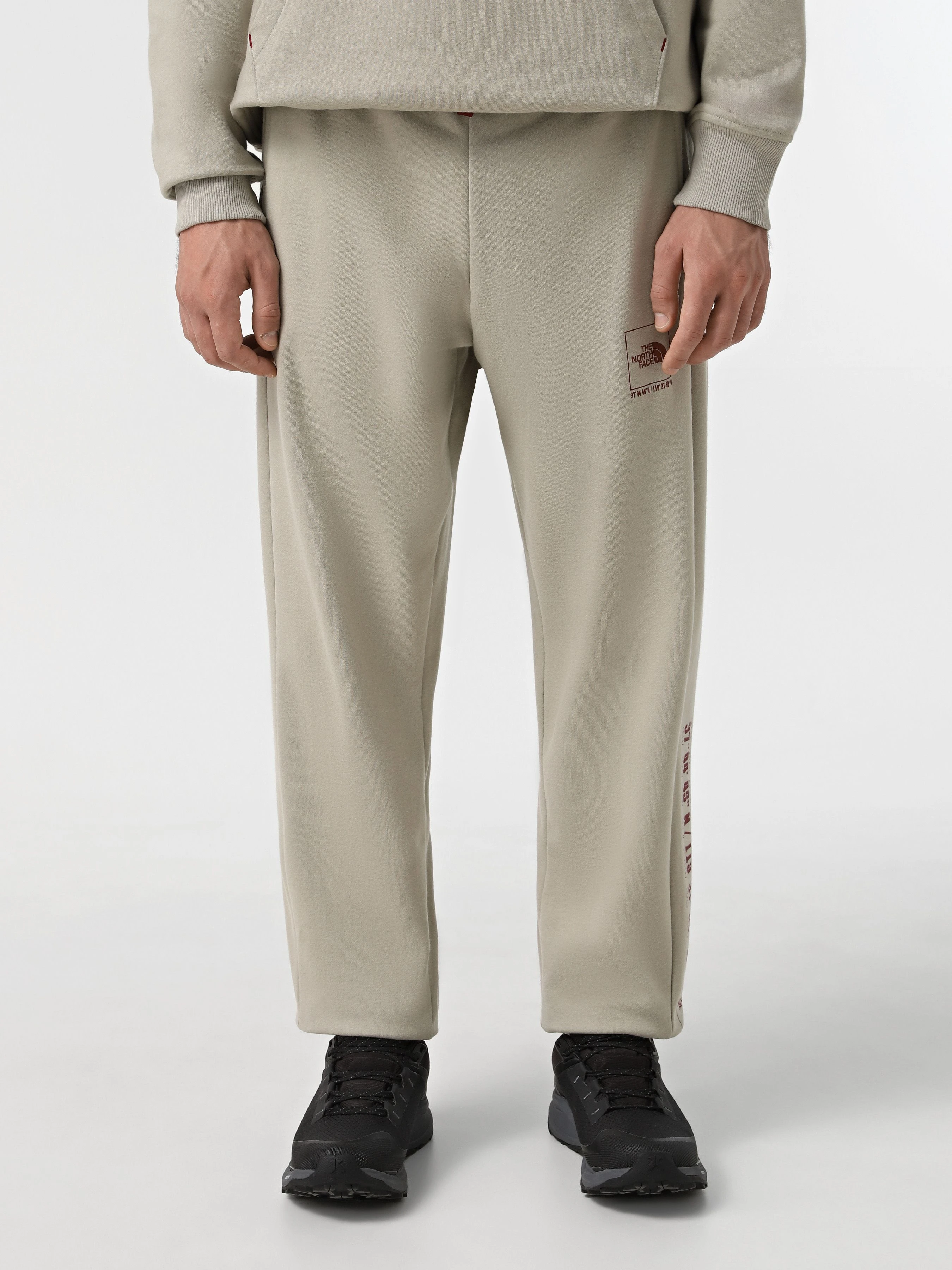 Бавовняні Чоловічі Джогери The North Face Coordinates