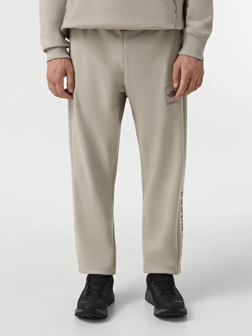 Брюки The North Face Coordinates модель NF0A89DB1I41 Фото