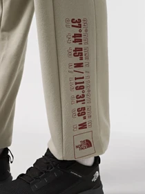 Брюки The North Face Coordinates модель NF0A89DB1I41 Фото