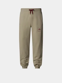 Брюки The North Face Coordinates модель NF0A89DB1I41 Фото