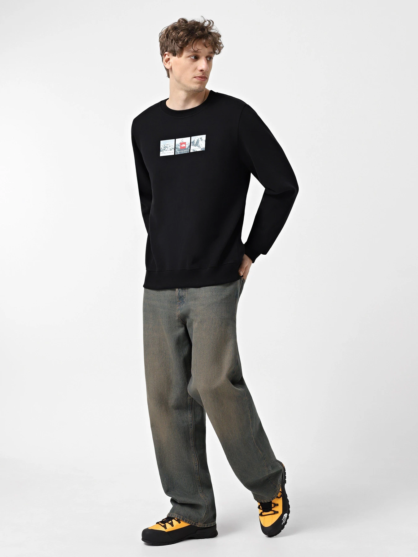 Худи и свитшоты The North Face Expedition System Graphic модель NF0A89DDJK31 Фото