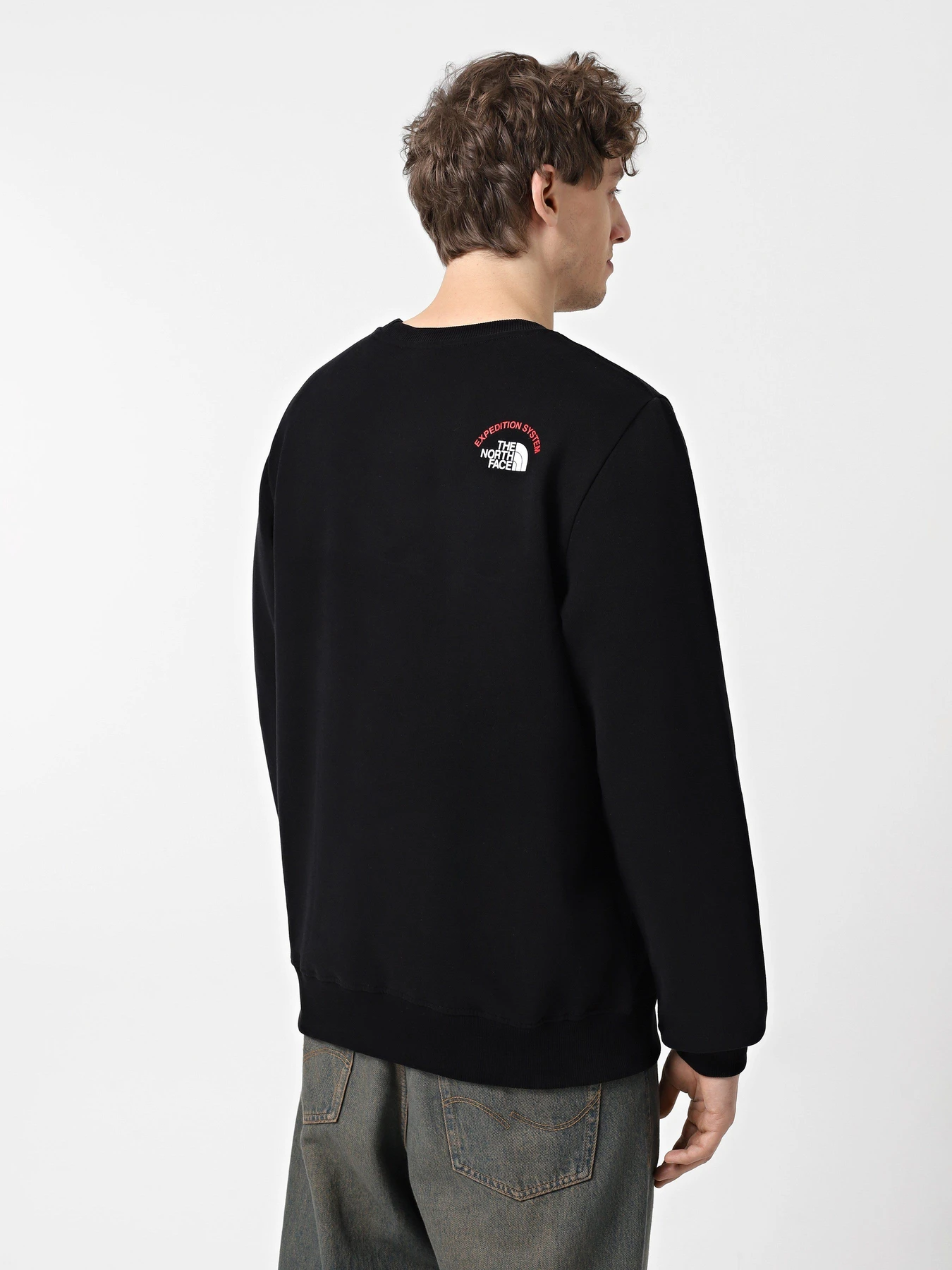 Худи и свитшоты The North Face Expedition System Graphic модель NF0A89DDJK31 Фото