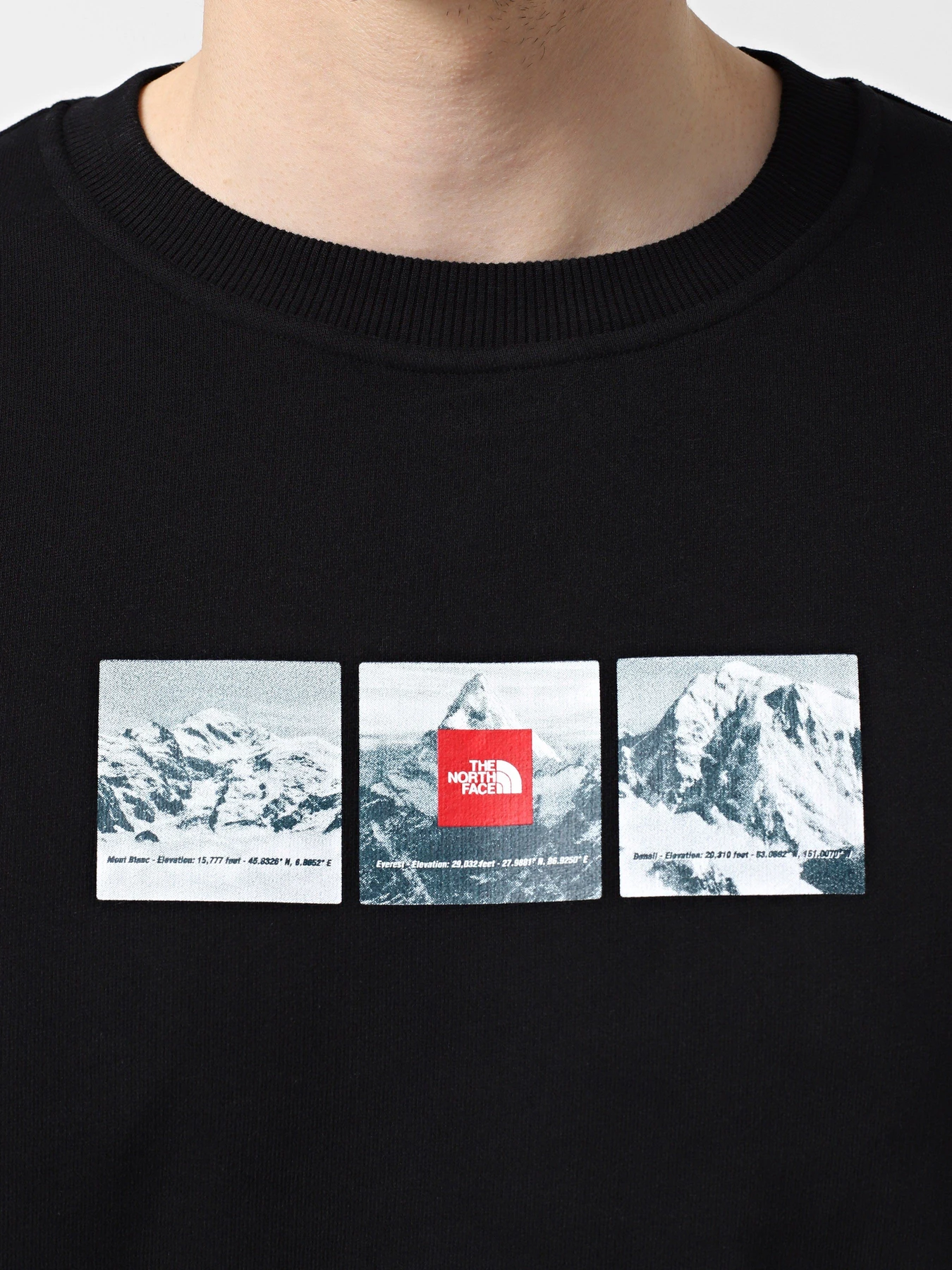 Худи и свитшоты The North Face Expedition System Graphic модель NF0A89DDJK31 Фото