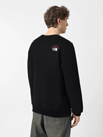 Худи и свитшоты The North Face Expedition System Graphic модель NF0A89DDJK31 Фото