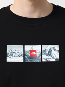 Худи и свитшоты The North Face Expedition System Graphic модель NF0A89DDJK31 Фото