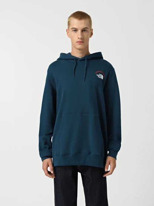 Худі та світшоти The North Face Expedition System Graphic модель NF0A89DE1NO1 Фото