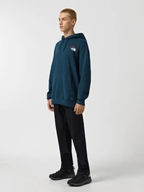 Худі та світшоти The North Face Expedition System Graphic модель NF0A89DE1NO1 Фото