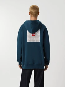 Худі та світшоти The North Face Expedition System Graphic модель NF0A89DE1NO1 Фото