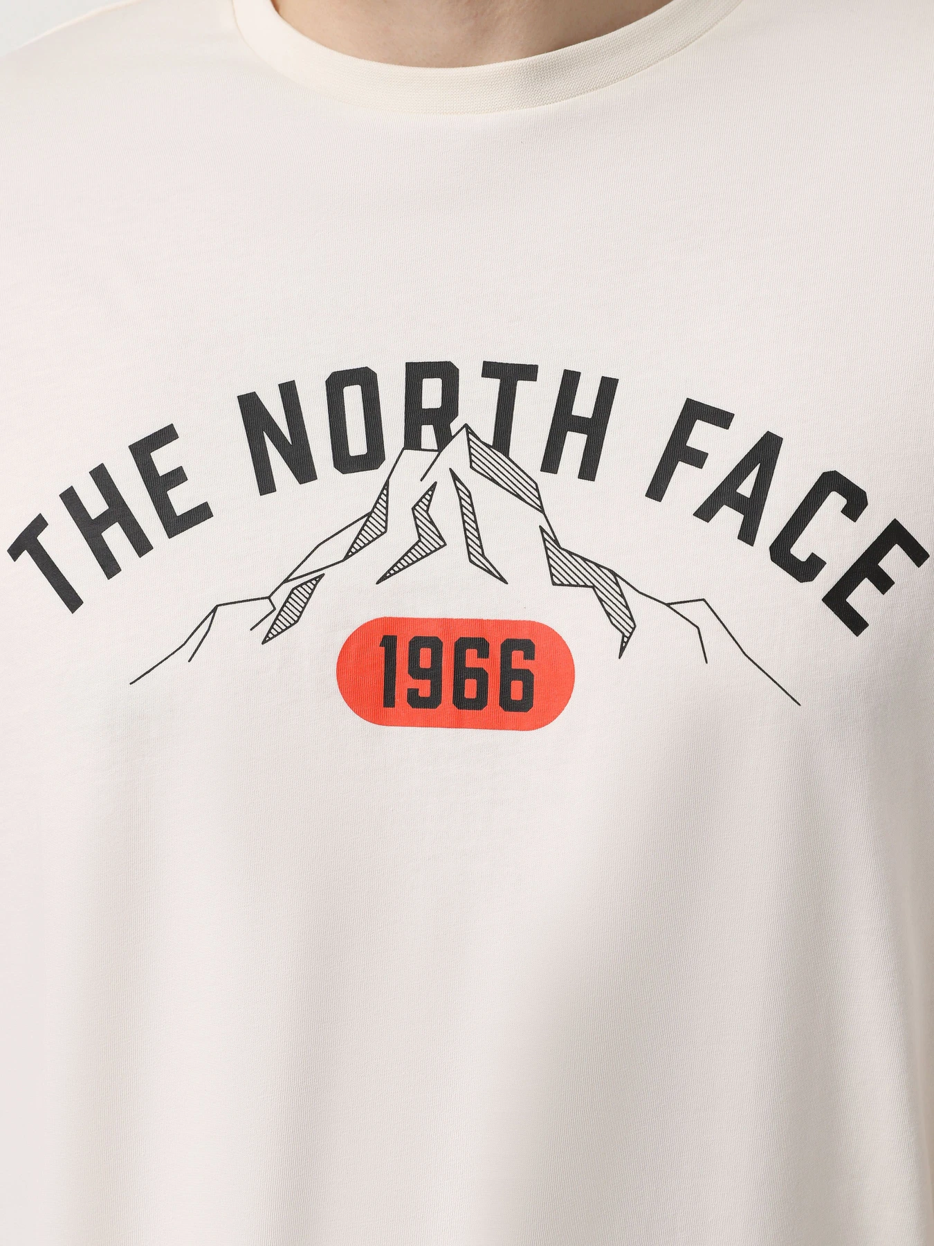 Футболки и поло The North Face Varsity Graphic модель NF0A89DGQLI1 Фото