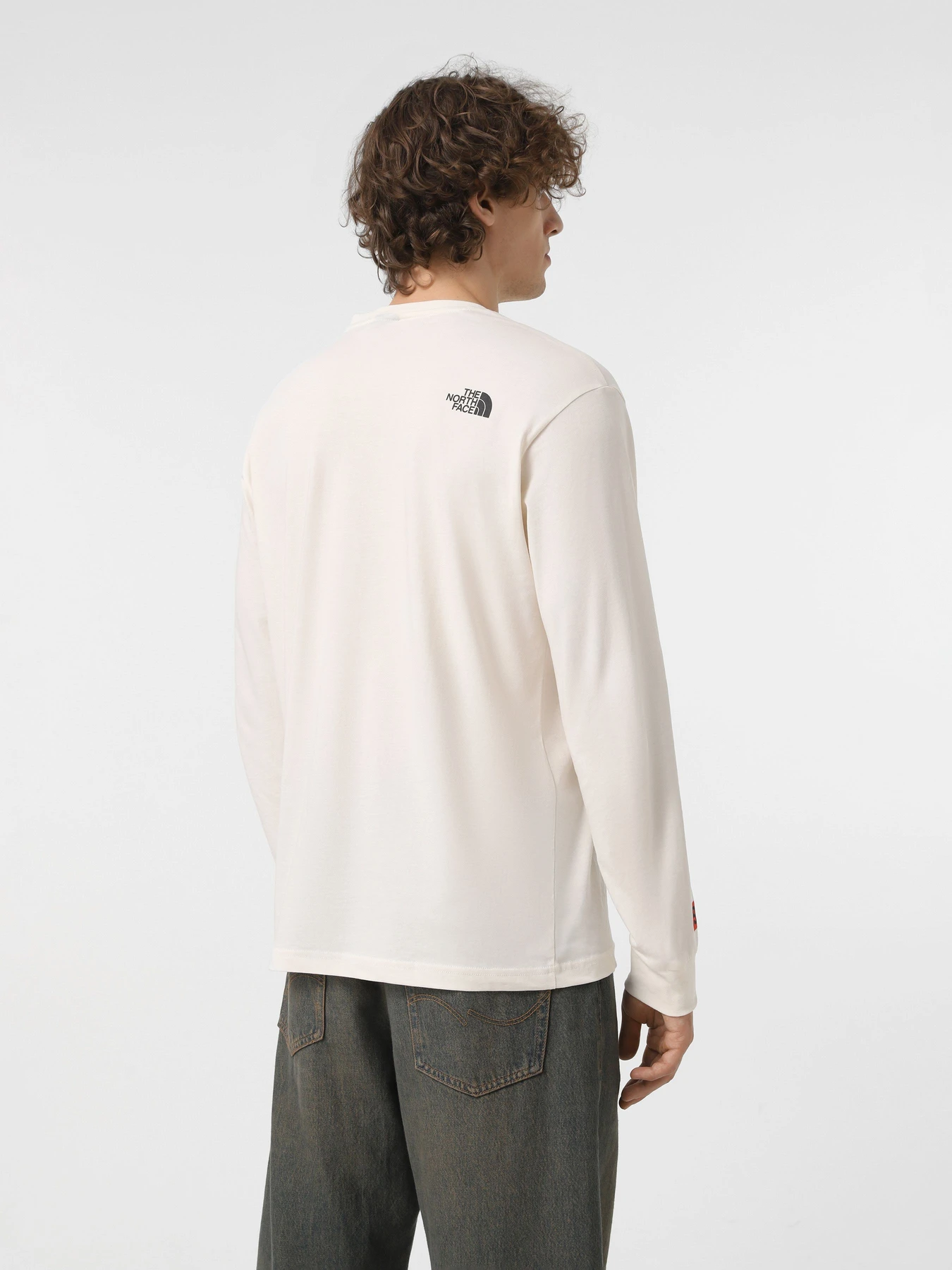 Худі та світшоти The North Face Varsity Graphic модель NF0A89DHQLI1 Фото