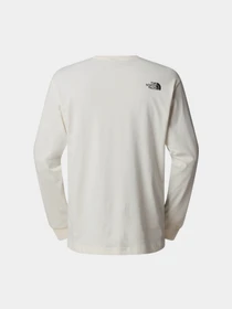 Худі та світшоти The North Face Varsity Graphic модель NF0A89DHQLI1 Фото