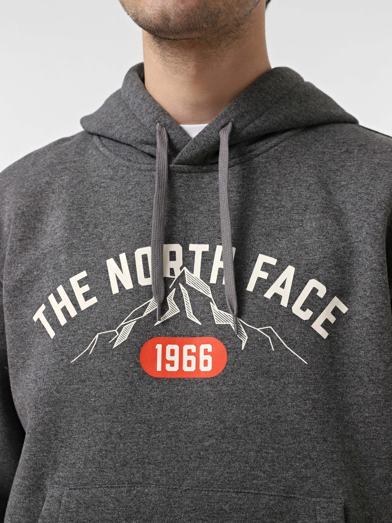 Худи и свитшоты The North Face Varsity Graphic модель NF0A89DJDYY1 Худи и свитшоты The North Face Varsity Graphic модель NF0A89DJDYY1 Фото