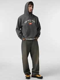Худи и свитшоты The North Face Varsity Graphic модель NF0A89DJDYY1 Фото