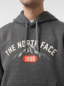 Худи и свитшоты The North Face Varsity Graphic модель NF0A89DJDYY1 Фото