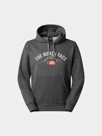 Худи и свитшоты The North Face Varsity Graphic модель NF0A89DJDYY1 Фото
