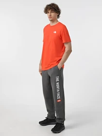 Штани The North Face Graphic модель NF0A89DPDYY1 Фото
