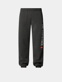 Штани The North Face Graphic модель NF0A89DPDYY1 Фото