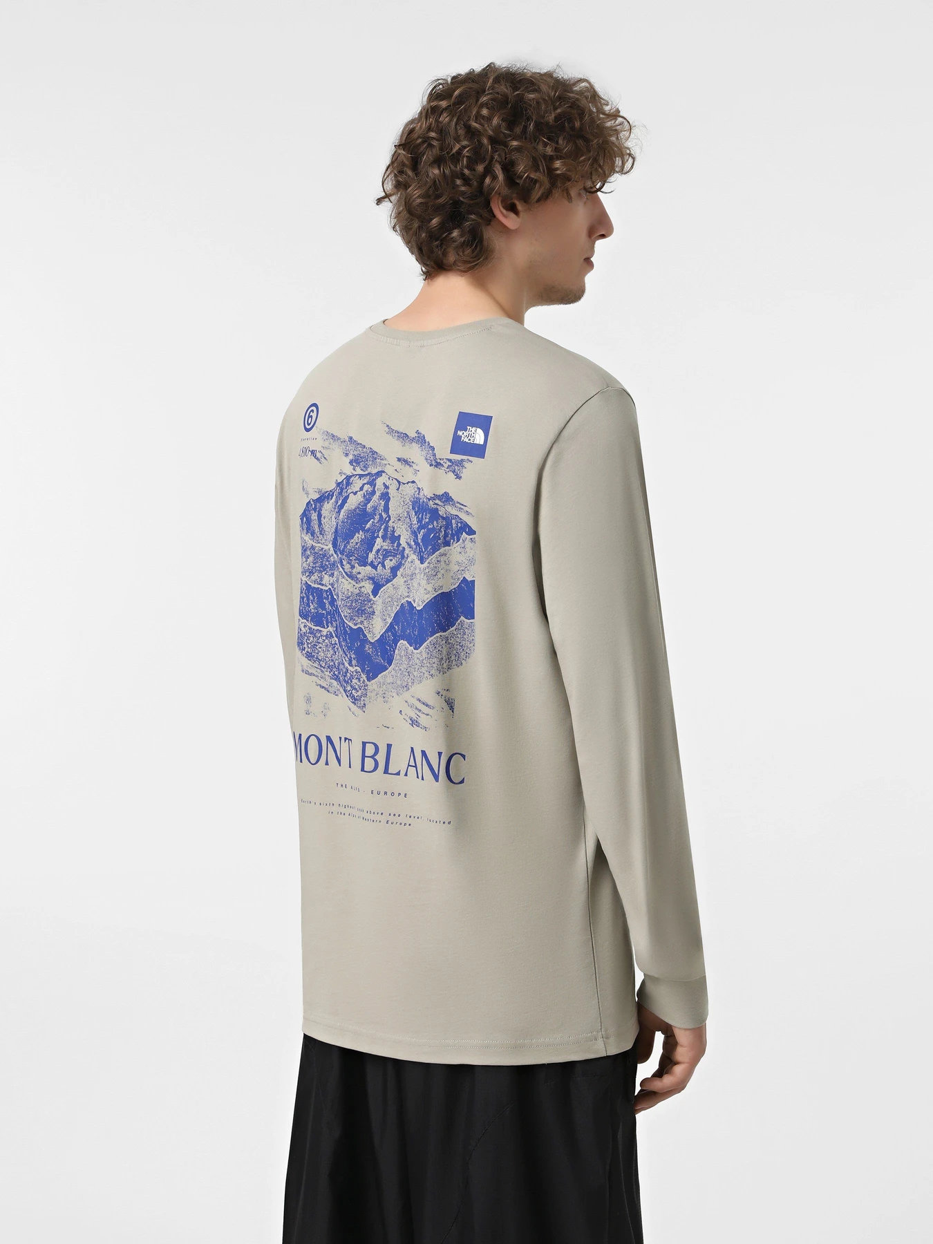 Худи и свитшоты The North Face Logo Box модель NF0A89DR1I41 Худи и свитшоты The North Face Logo Box модель NF0A89DR1I41 Фото