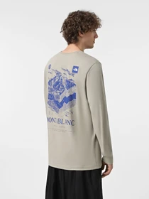 Худи и свитшоты The North Face Logo Box модель NF0A89DR1I41 Фото