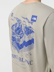 Худи и свитшоты The North Face Logo Box модель NF0A89DR1I41 Фото