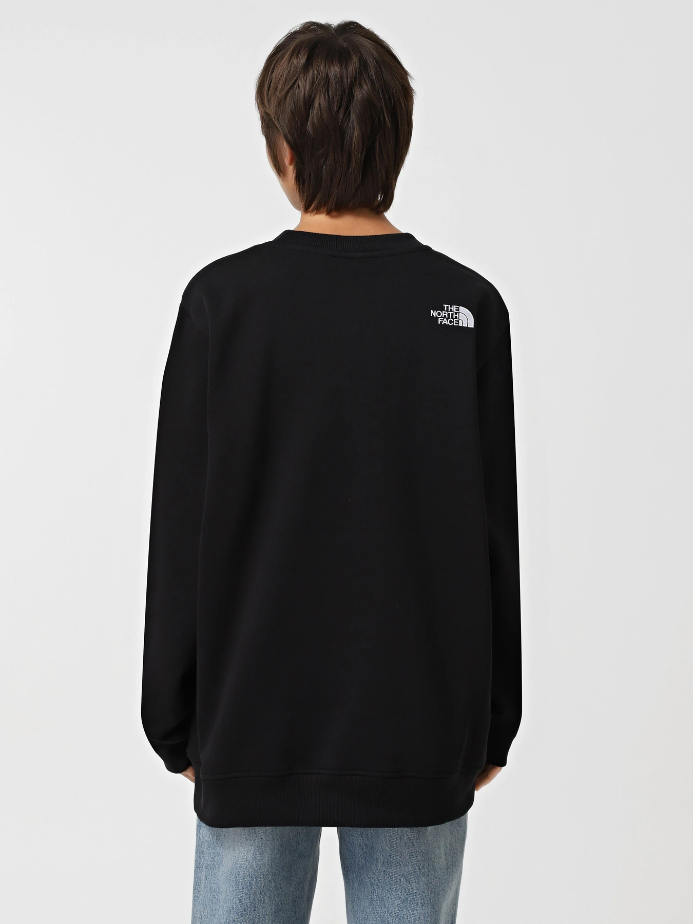 Худи и свитшоты The North Face Drew Peak Crew модель NF0A89EFJK31 Худи и свитшоты The North Face Drew Peak Crew модель NF0A89EFJK31 Фото