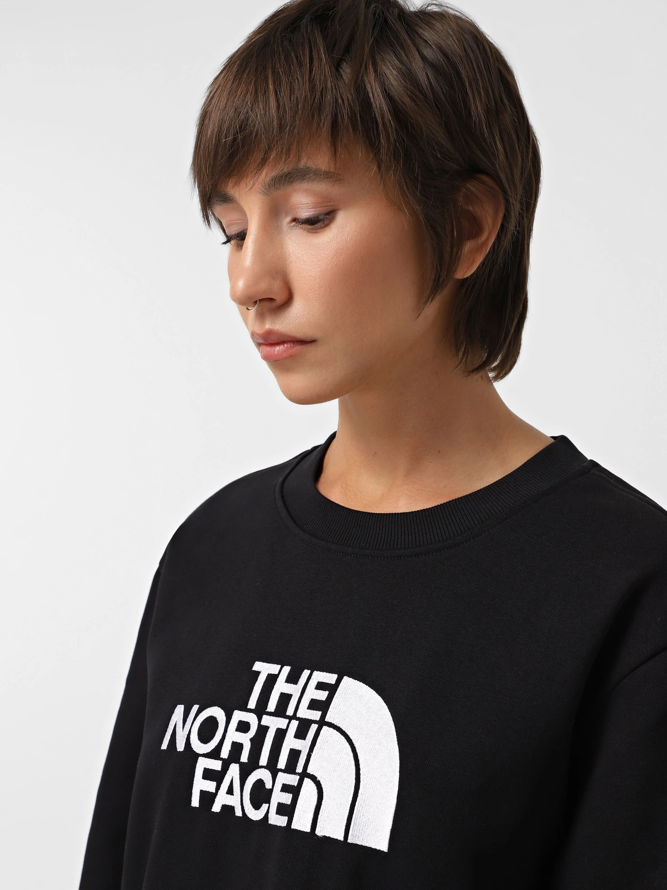 Худи и свитшоты The North Face Drew Peak Crew модель NF0A89EFJK31 Худи и свитшоты The North Face Drew Peak Crew модель NF0A89EFJK31 Фото