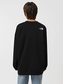 Худи и свитшоты The North Face Drew Peak Crew модель NF0A89EFJK31 Фото