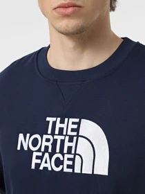 Худи и свитшоты The North Face Drew Peak модель NF0A89EK8K21 Фото